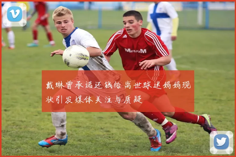 戴琳曾承诺还钱给离世球迷妈妈现状引发媒体关注与质疑