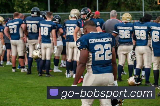 App Interface Preview