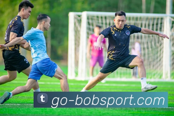 BOB体育APP 封面图